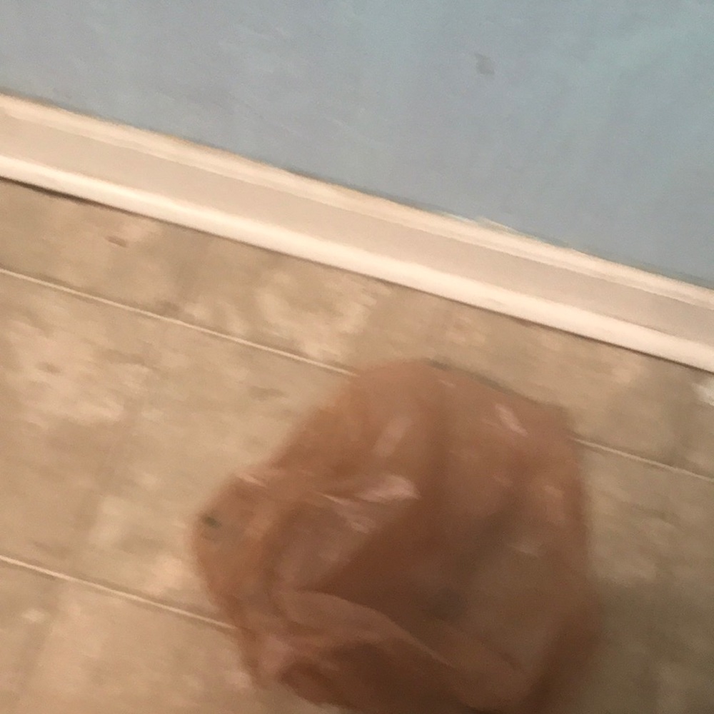 Meet your Posher, Hhh